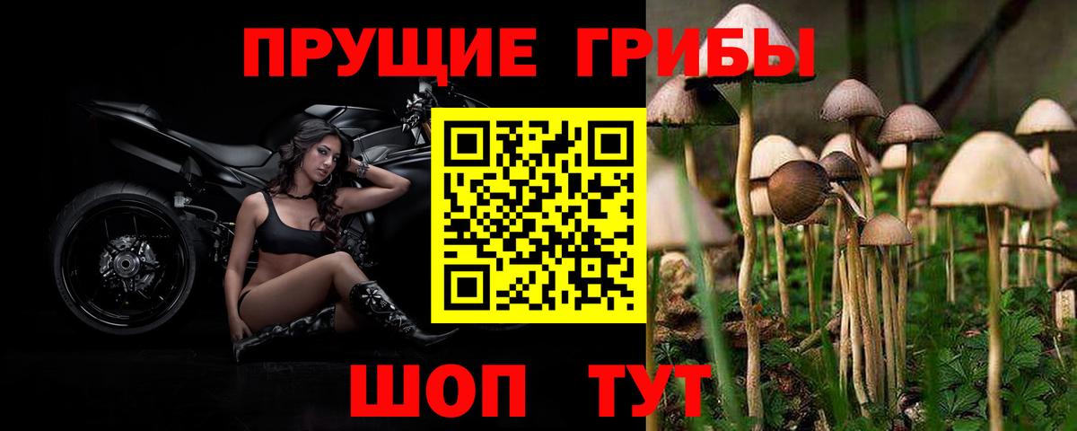 Псилоцибиновые грибы мицелий Серпухов