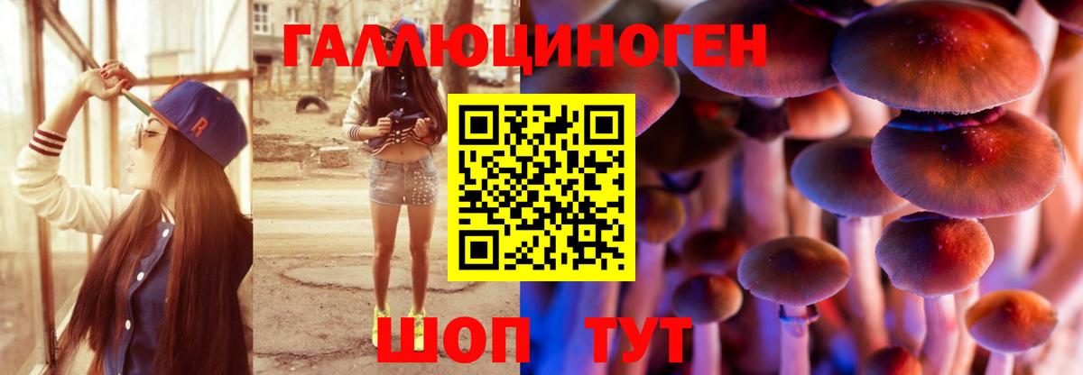 Галлюциногенные грибы Psilocybine cubensis Серпухов